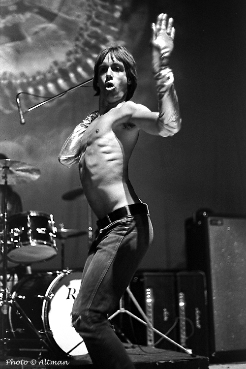 [Photo:Iggy Pop]