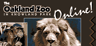 Welcome to the Oakland Zoo Collage