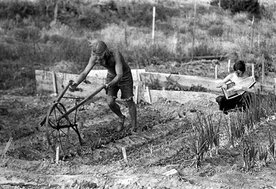 [Photo of New Mexico couple plowing by hand]