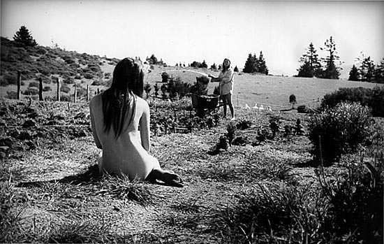 Photo: Natural farming on Wheeler's Ranch